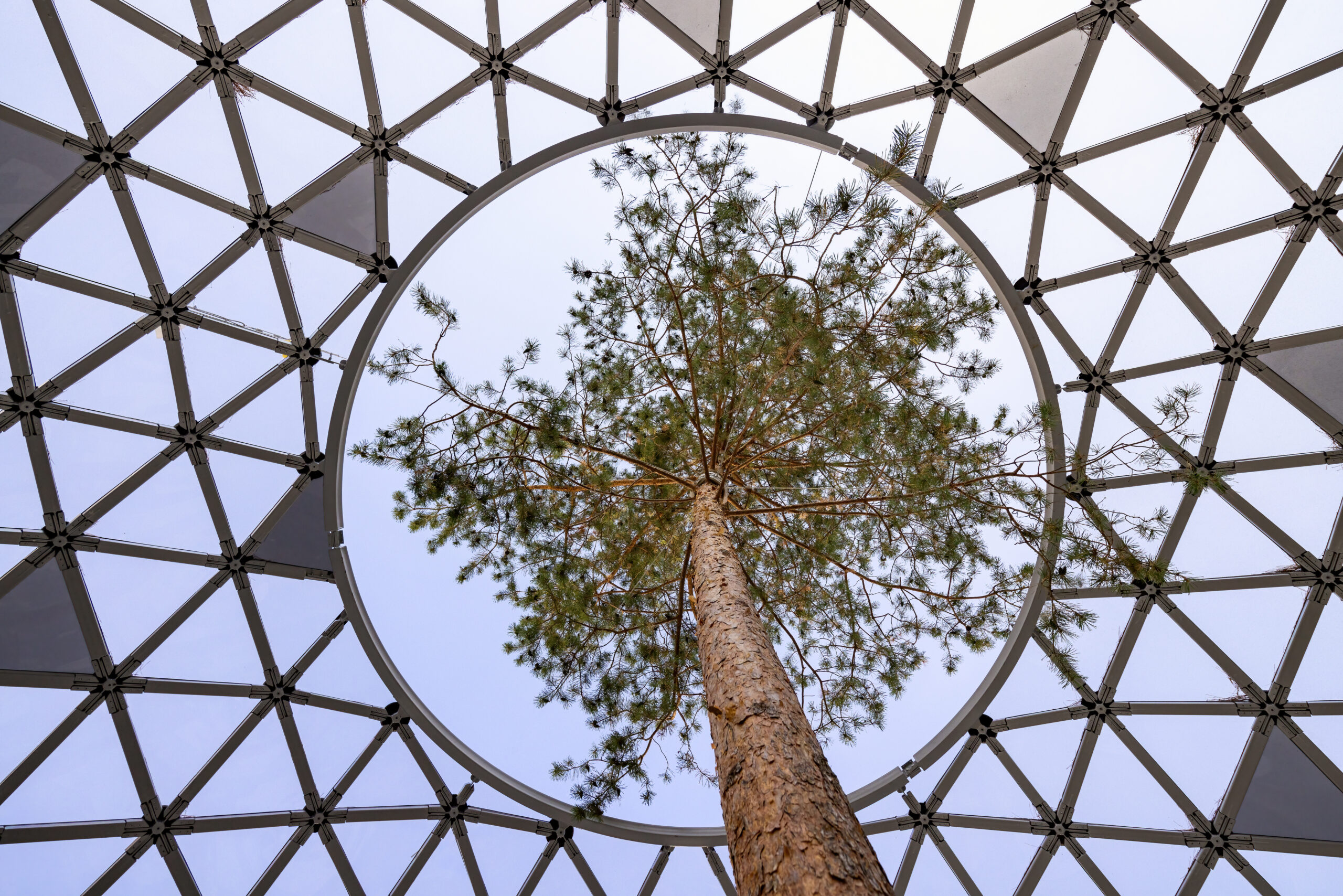 Picture Idea: How Sustainability Is Reshaping The Construction Industry